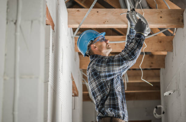 Best Electric Panel Repair  in Kansas City, KS